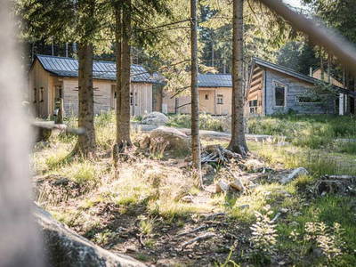 Bild 5 aus  RAMENAI Das Böhmerwaldlerdorf