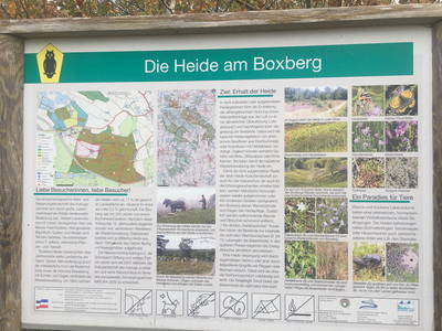 Der Boxberg