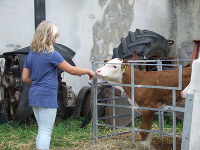 Bild 23 aus  Ferienhof Wilfert