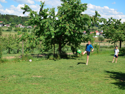 Bild 4 aus  Unterfrickhof