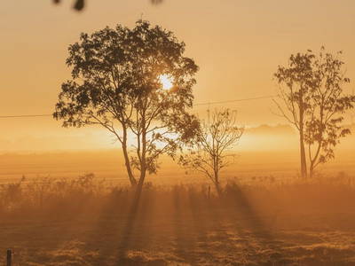 Bild 3 aus  Ferienhof Deichkind