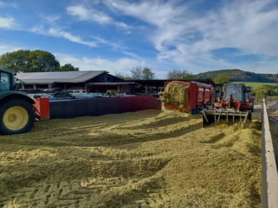 Bild 48 aus  Marienhof