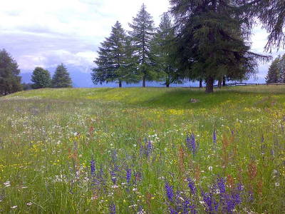 Bild 24 aus  Wietererhof