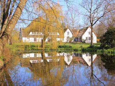 Bild 4 aus  Hamkenshof