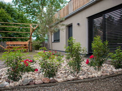 Bild 6 aus  Stettnerhof