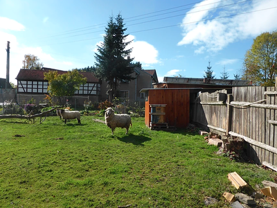 Bild 30 aus  Ferienhof Wolschendorf