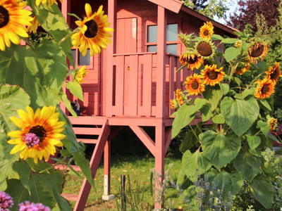 Bild 18 aus  Osterhof Fehmarn - mit Hofladen, Hofprogramm und Ayurveda-Wellness