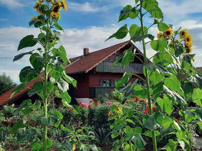 Bild 10 aus  Ferienhof Irlmühl