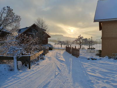 Bild 22 aus  Ferienhof Miller