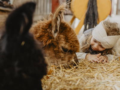 Bild 24 aus  Premium - Ferienhof Lunau an der Ostsee