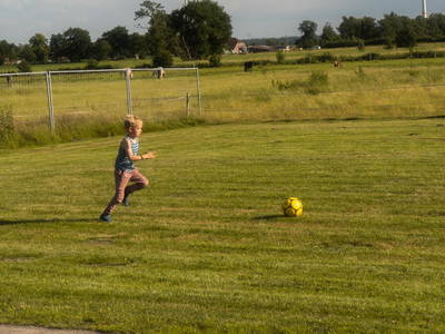 Bild 8 aus  Ponyhof Goldenstein