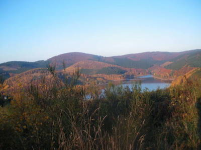 Bild 23 aus  Ferienwohnung Flender