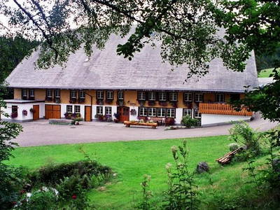 Bild 3 aus  Salenhof