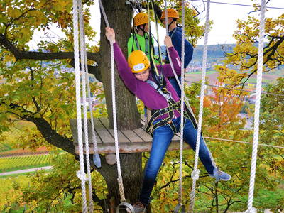 Bild 20 aus  Zum Wolffenturm