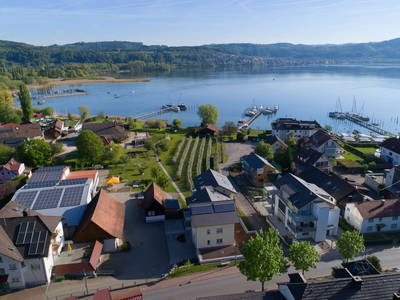 Bild 3 aus  Obst- und Ferienhof Sohm