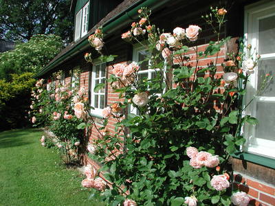 Bild 16 aus  Hof Höpen