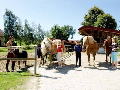 Bild 22 aus  Mayerhof- der Ferienbauernhof mit dem Pool, den Pferden u. d. tollen Spielplatz