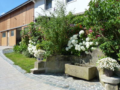 Bild 5 aus  Ferienhof Lochau