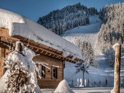 Bild 48 aus  Benglerwald Berg Chaletdorf