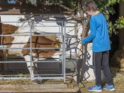 Bild 8 aus  Landhof - Familie Mairhofer