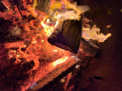 Bild 20 aus  Ostseeferienhof Tralau