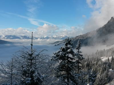 Bild 17 aus  Ferienhaus Am Dorfgarten