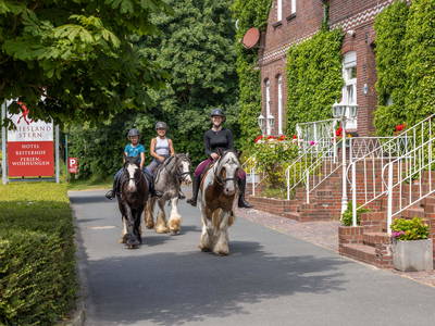 Bild 41 aus  Ferienhof Frieslandstern