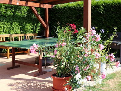 Bild 16 aus  Ferienhaus Bührer im Schwarzwald