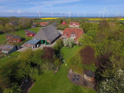 Landurlaub auf der Insel, ganz nah am Meer... und besonders schön auf Fehmarn in der fünften Jahreszeit, zur Rapsblüte