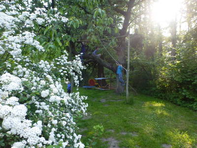 Bild 14 aus  Alte Schule Mechelsdorf - Idylle zw. Rerik und Kühlungsborn - 2,5 km zur Ostsee