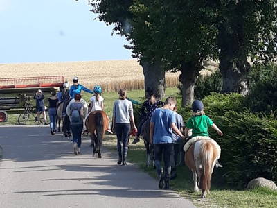 gemeinsamer Ausritt