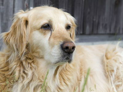 Bild 34 aus  LandSelection Gut Grasleiten