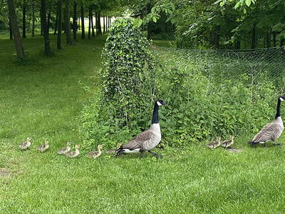 Bild 12 aus  Gut Petersdorf