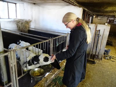 Bild 4 aus  Vejstrupgaard