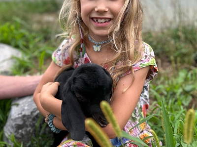 Bild 40 aus  Hofgut Schleinsee  - idyllisch am eigenen See