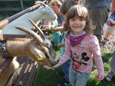 Bild 21 aus  Inselurlaub Fehmarn