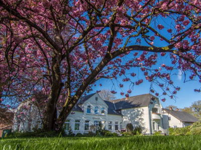 Bild 3 aus  Baustrup Hof