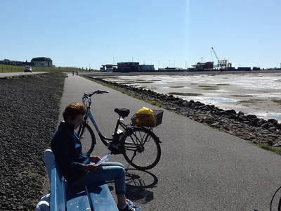 Bild 36 aus  Nordseefewo Lämmerblick