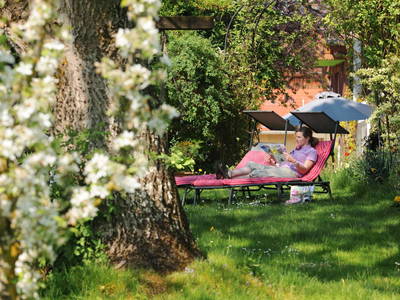 Bild 31 aus  Köllhof