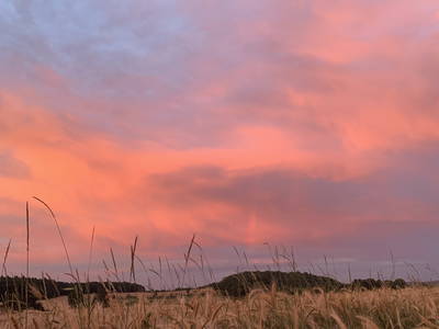 Bild 38 aus  Gästehaus im Lochautal