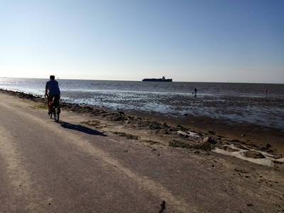 Bild 16 aus  Hof Vorwerk Familie Böye