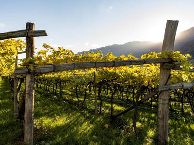 Bild 7 aus  Nofnerhof