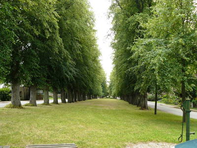Der von Linden gesäumte Dorfanger in Barsbek.