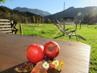 Bild 18 aus  Landhaus Alt mit  Bauernhof* Gesundes Wohnen In Freier Natur* Tolle-Angebote *Bergbahn Unlimited*