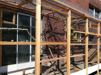 Bild 19 aus  Renas Ferienhof