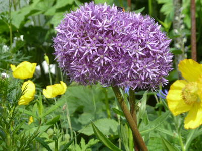 Bild 13 aus  Der Liethshof