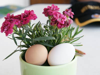 Bild 17 aus  Ferienhof Rösch