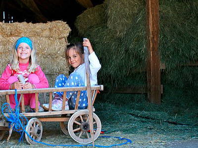 Bild 6 aus  Platzerhof