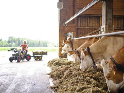 Landwirtschaft zum anfassen