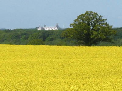 Bild 19 aus  Hof Schlossblick  " der etwas andere Bauernhof "